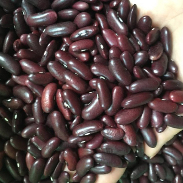 ĐẬU ĐỎ HẠT TO- hàng loại 1