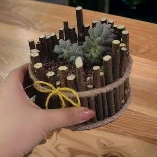 Chậu ghép cành cây tròn trồng sen đá, chậu trồng hoa, chậu trồng xương rồng, chậu trồng cây, chậu trồng cây tiểu cảnh,