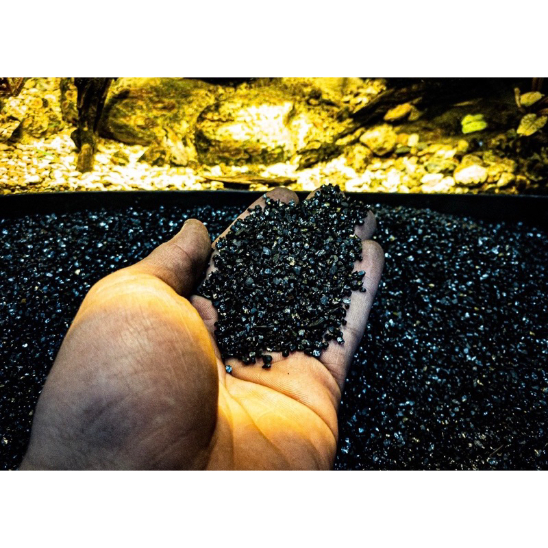 Nền Trơ Pure Black  Trang Trí Trải Nền Hồ Cá Thủy Sinh, Biotope