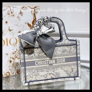 ✅túi cd tote book small - size 22cm - bản spsl