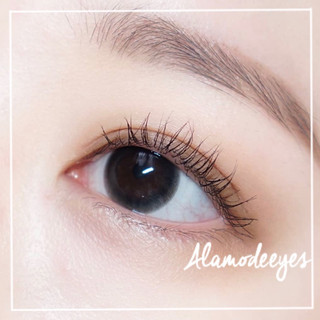Lens đen mini [Full cận]