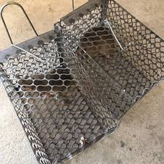 Bẫy chuột lồng sắt
