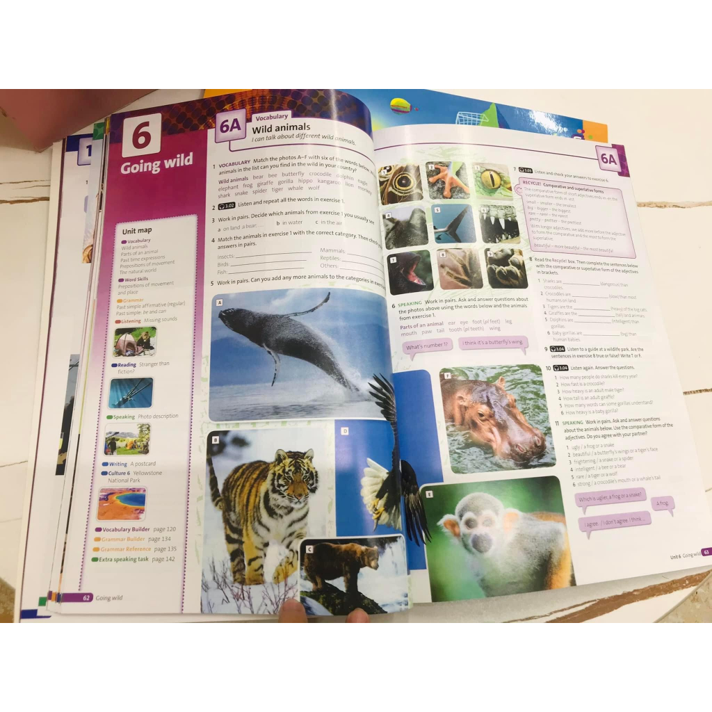 BỘ SOLUTION ELEMENTARY