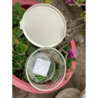 Thố thủy tinh 430ml