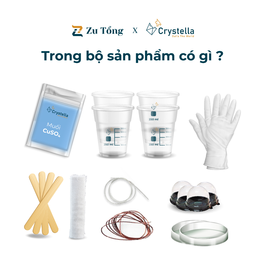 Bộ KIT nuôi tinh thể CuSO4
