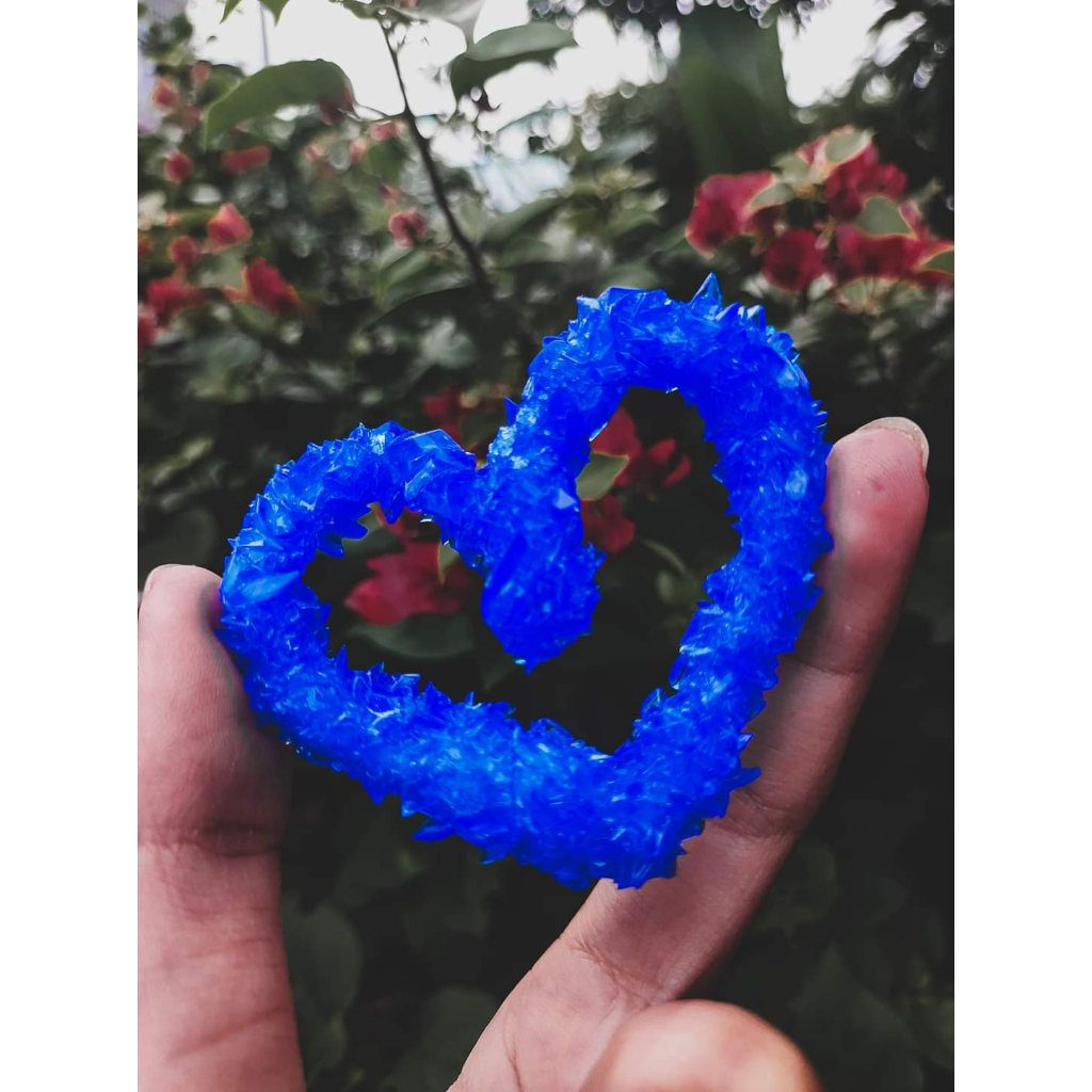 Bộ KIT nuôi tinh thể CuSO4