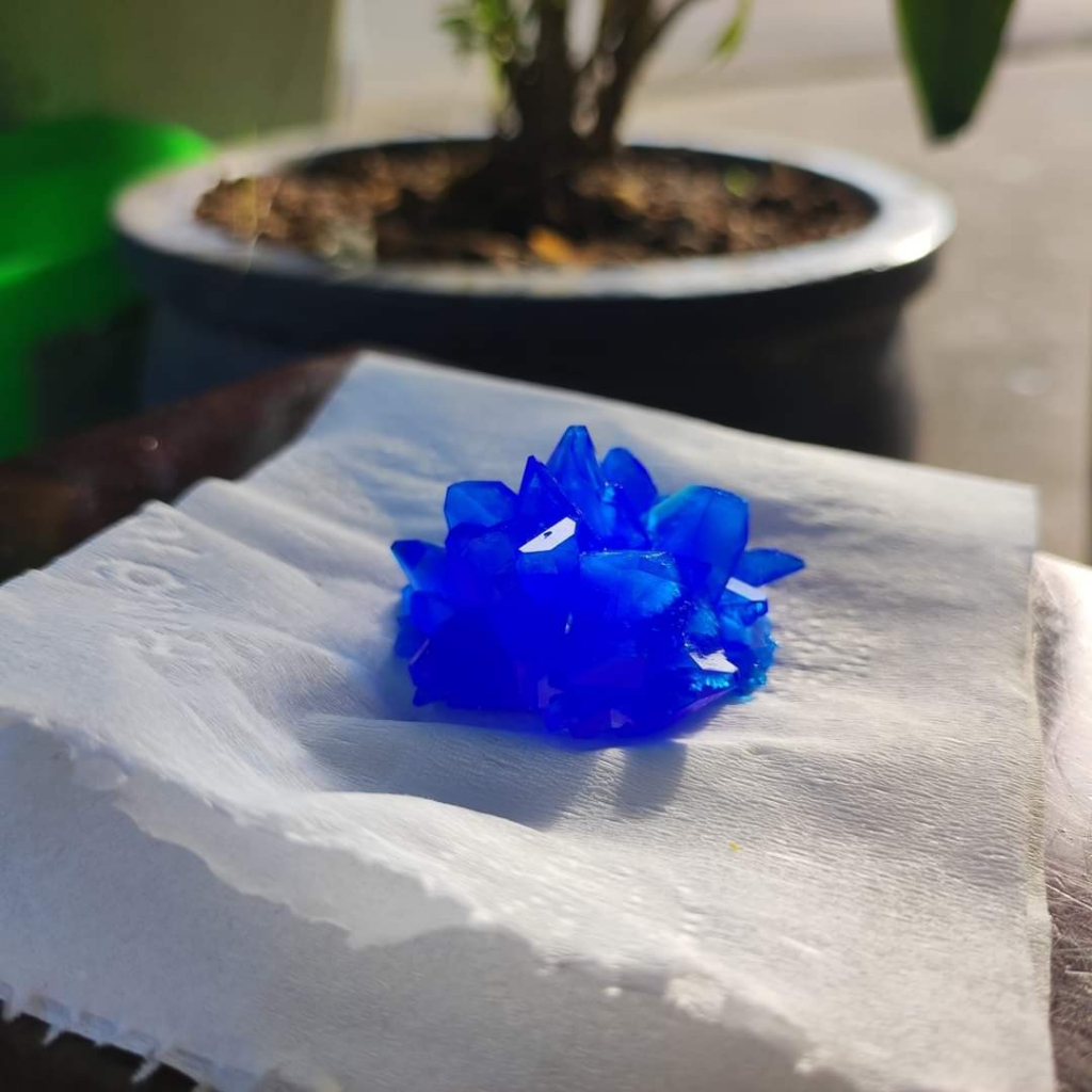 Bộ KIT nuôi tinh thể CuSO4