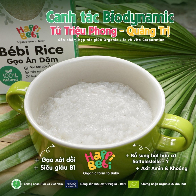 Gạo hạt vỡ Bébi Rice cho bé ăn dặm từ 6 tháng, gạo trộn hạt hữu cơ Ý 8m+