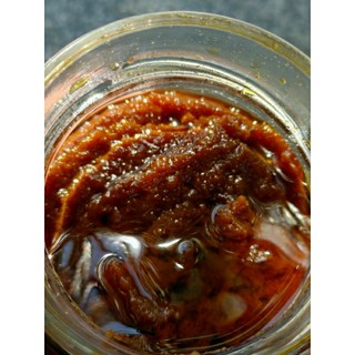 Tekka Bơ thực vật