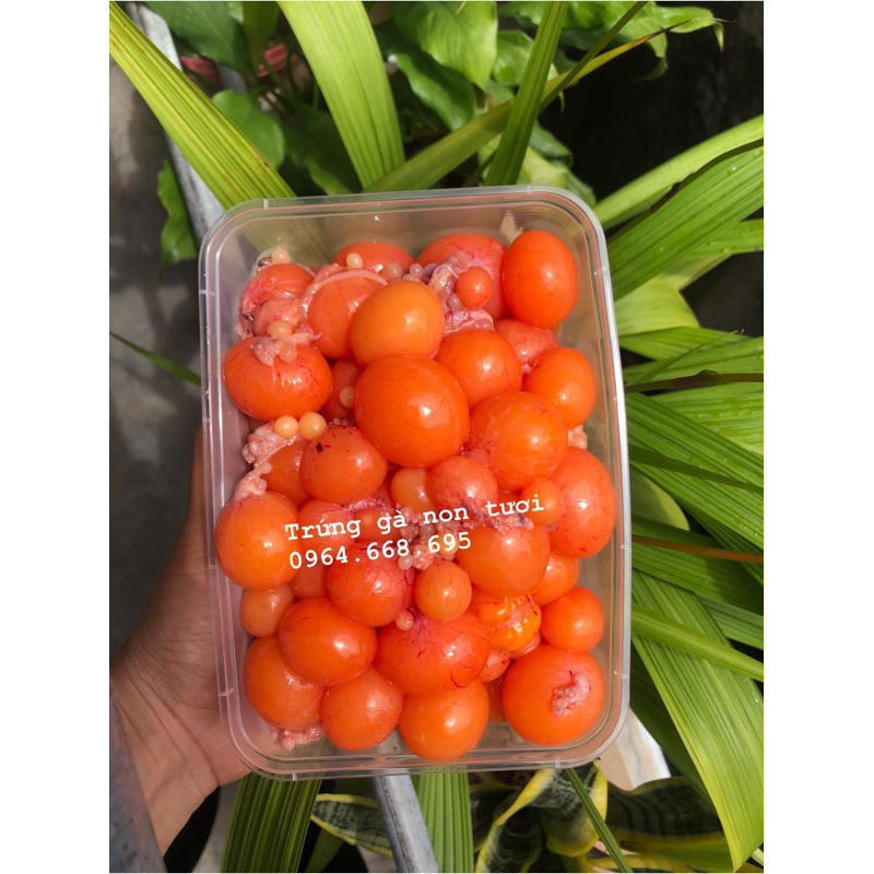 Trứng gà non tươi