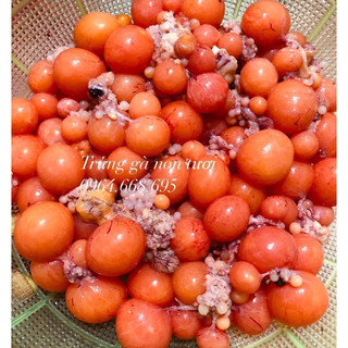 Trứng gà non tươi