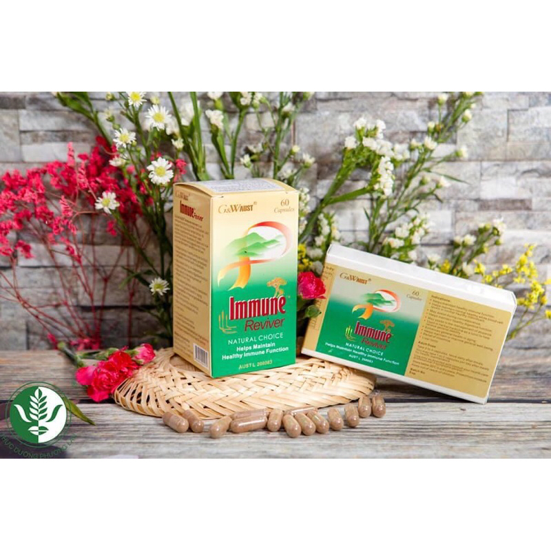 immune( hồi sinh miễn dịch)