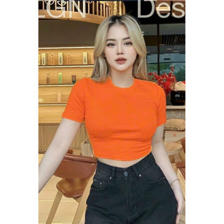 Áo thun croptop trơn tay ngắn