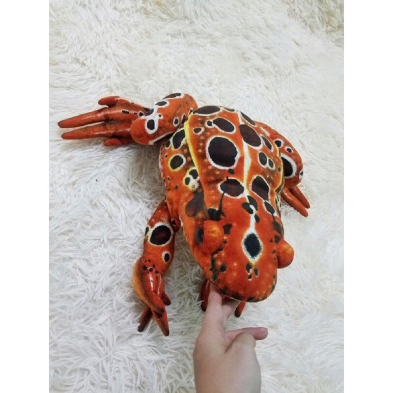 gấu nhồi bông con ếch giống như thật