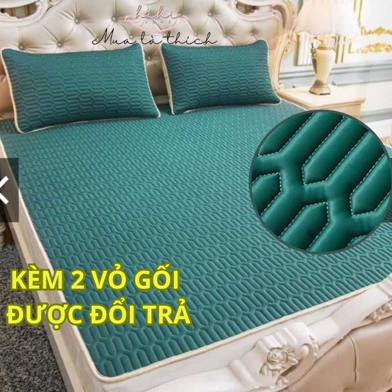 Chiếu điều hòa cao su non, chiếu điều hòa tencel latex cao su non loại 1 nặng 2 kg, tặng kèm 2 vỏ gối