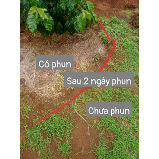Chế phẩm diệt cỏ sinh học chai 1 lít