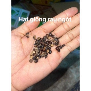 1 Lạng hạt giống rau ngót