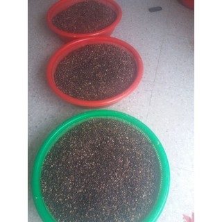 1 Lạng hạt giống rau ngót
