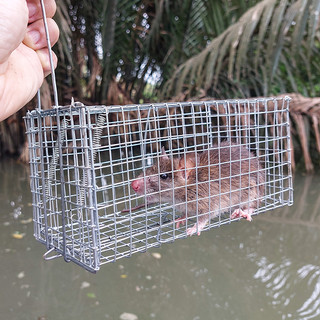 5 Lồng Bẫy Chuột, Bẫy Sóc dùng móc chống sẩy