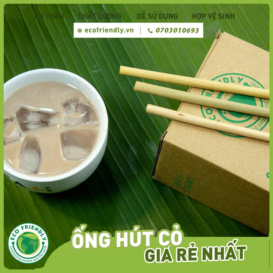 Ống hút cỏ bàng  Hộp 100 ống dài 20 cm Size sinh tố - Dùng được cho tất cả các loại thức uống