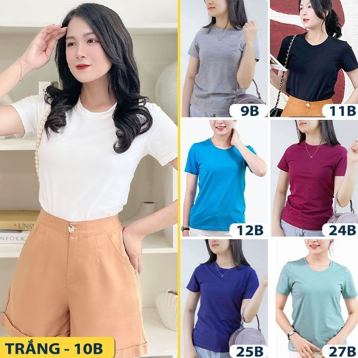 Áo thun nữ TOLI cổ tròn tay ngắn, dáng ôm nhẹ, vải Cotton co dãn mềm mịn, màu trơn, hàng chính hãng cao cấp [Tr-25B]