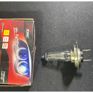Bóng đèn Halogen H7 12V/24V