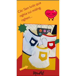 Áo túi Gấu dễ thương dành cho thú cưng