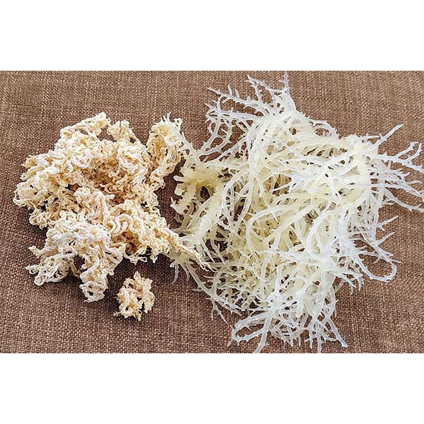 Rong sụn Khô thiên nhiên Nha Trang- Tăng cường collagen đẹp da