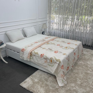 MỀN COTTON IN EDENA CAO CẤP