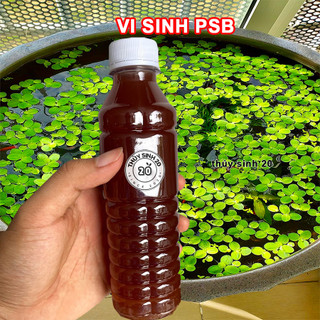 Vi Sinh quang hợp Psb hỗ trợ xử lý làm trong nước 330ml