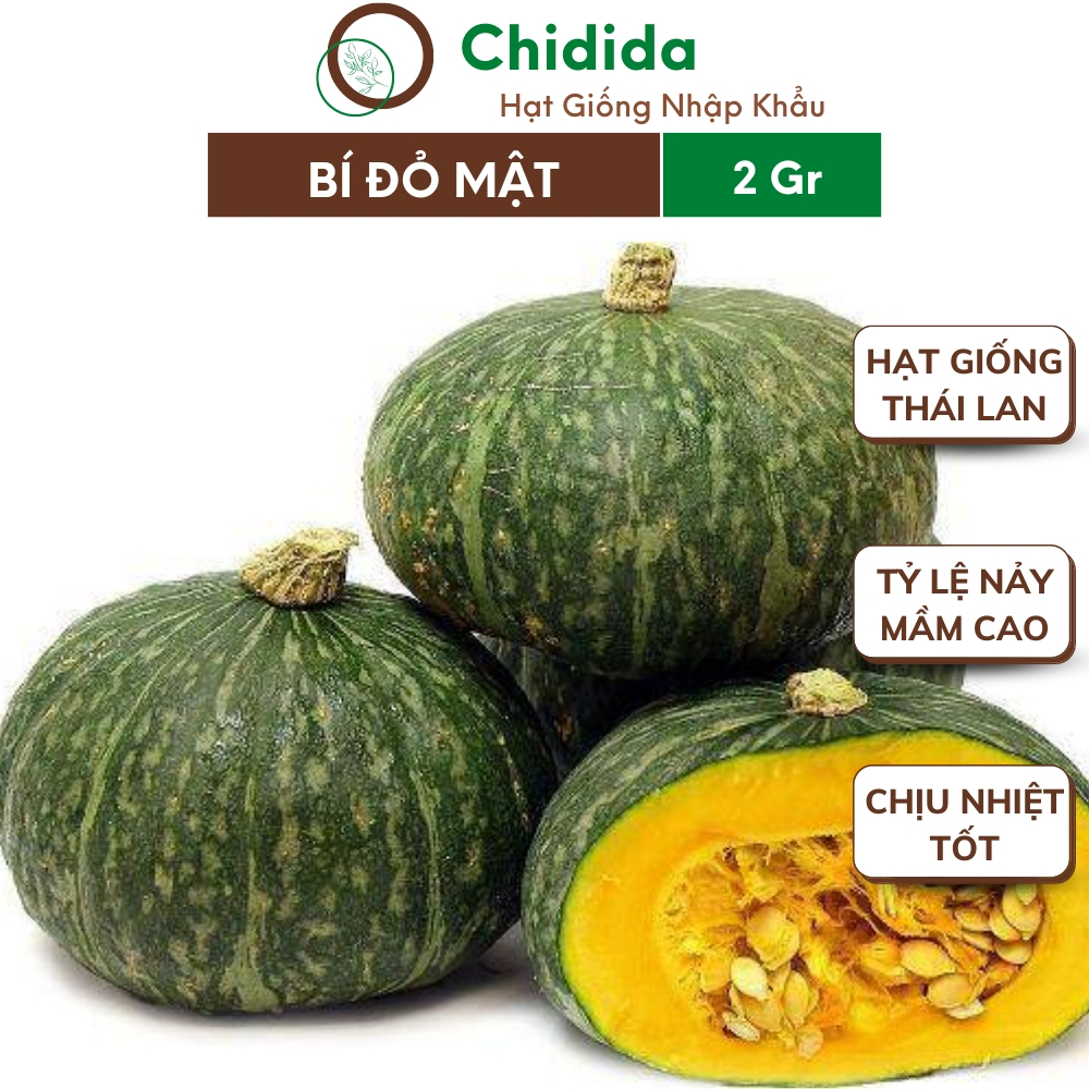 Hạt giống bí đỏ mật Chidida giống bí ngô da xanh Thái Lan dễ trồng năng suất cao gói 2gr