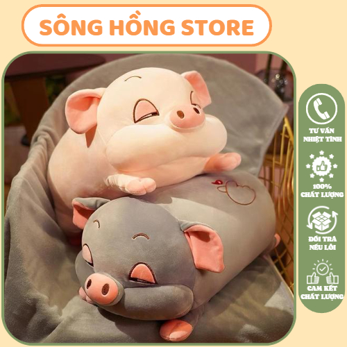 (Hàng Đẹp) Gấu Bông Heo Buồn Ngủ size 30 Cm