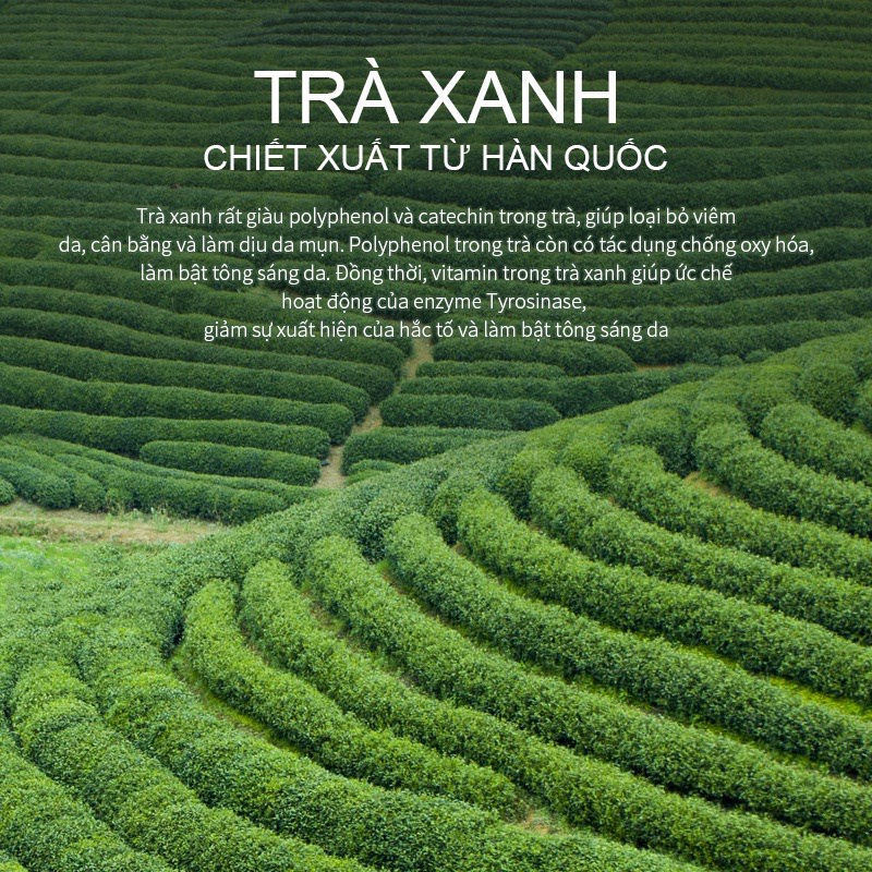 Kem dưỡng trắng da trà xanh Fenyi 100g với tinh chất lá trà xanh tự nhiên, Đất sét dưỡng ẩm da mặt tẩy tế bào da chết