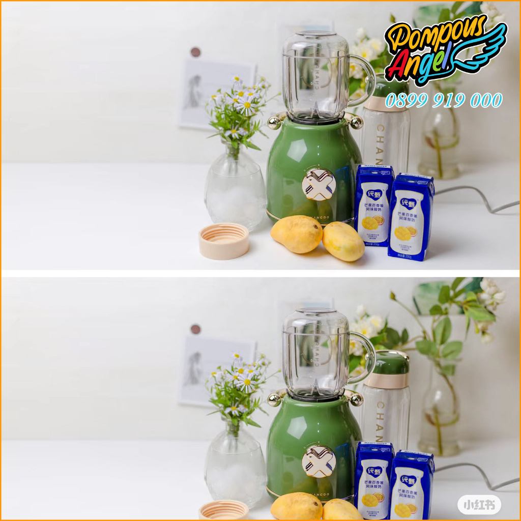 Máy xay sinh tố hoa quả trái cây kiểu dáng cổ điển CHANCOO cao cấp chính hãng bảo hành 12 tháng