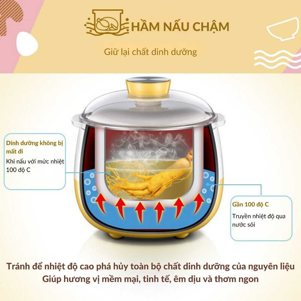 Nồi Nấu Chậm 0,8L Bear Bản Quốc Tế PP bởi Ấm Baby Đa Năng Nấu Cháo Chậm, Chưng Yến - SUBE001 Ấm Gift Decor