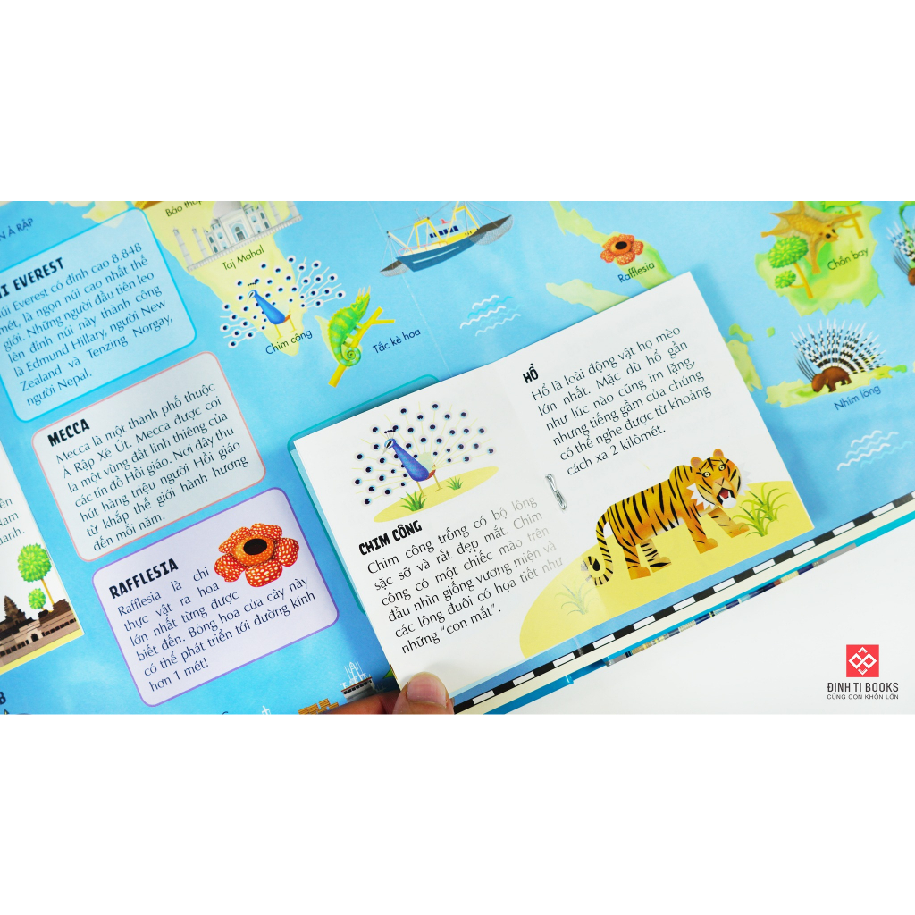 Sách - Atlas thế giới - Lật mở tương tác khám phá các châu lục và đại dương cho trẻ từ 6 tuổi - Đinh Tị Books