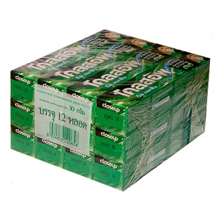 Lốc 12 tuýp ( loại 30g/tuýp) Kem Đánh Răng Closeup – Thái Lan Hương Bạc Hà Thơm Mát hàng chuẩn