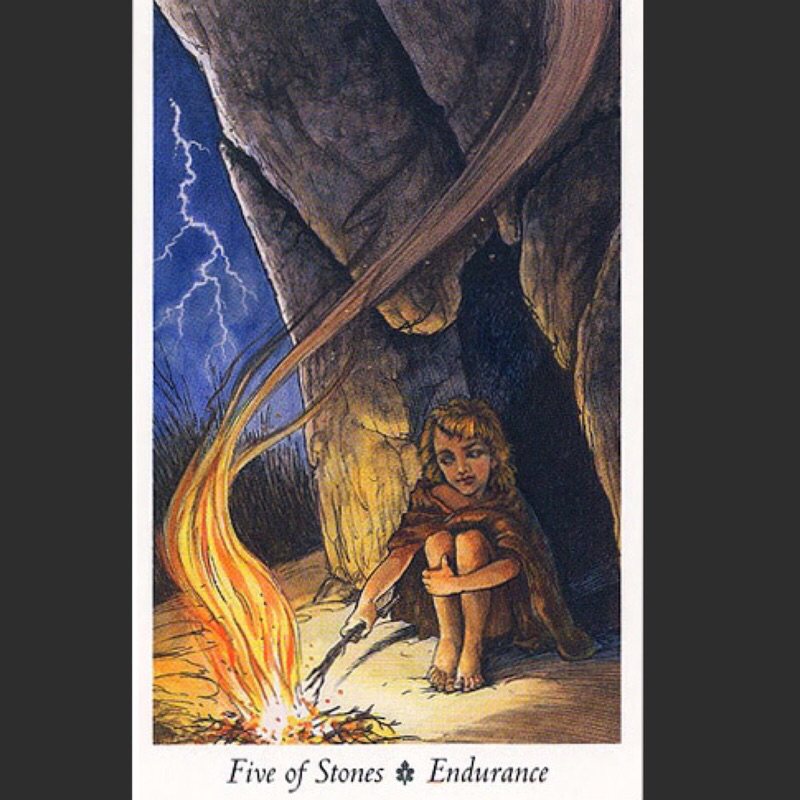 Bộ bài Wild Wood Tarot 78 lá cơ bản, có file hướng dẫn tiếng việt