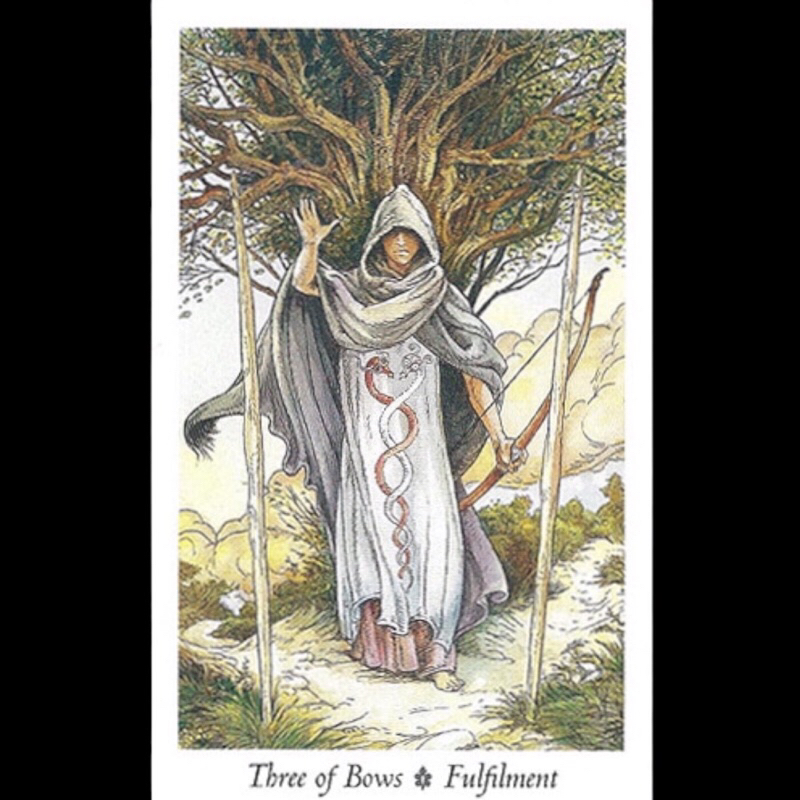 Bộ bài Wild Wood Tarot 78 lá cơ bản, có file hướng dẫn tiếng việt