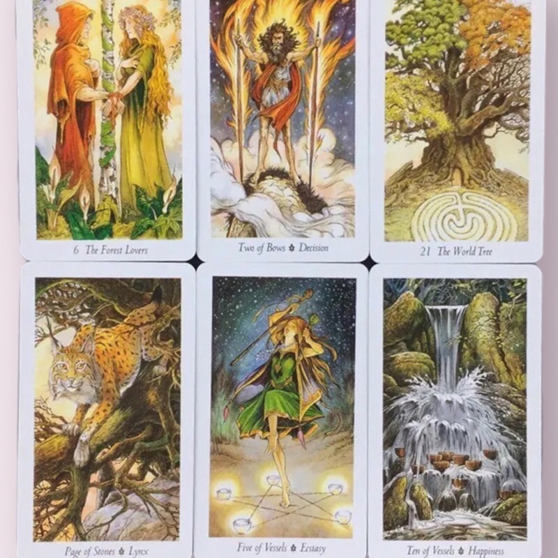 Bộ bài Wild Wood Tarot 78 lá cơ bản, có file hướng dẫn tiếng việt