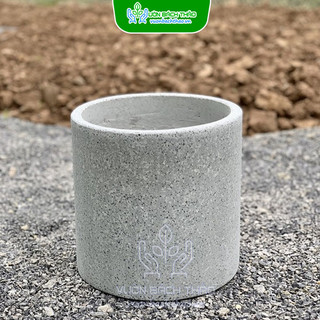 Chậu đá mài trụ tròn 25x25cm trồng cây để bàn đẹp