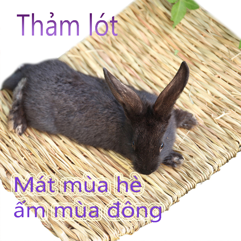 Thảm lót Cho Thỏ Thảm Cỏ Cho Thỏ Đồ chơi mài răng Thảm lót thỏ cho mát mùa hè