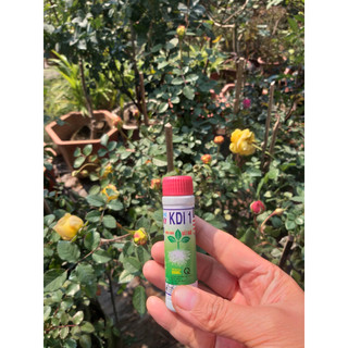 Kích rễ, siêu ra rễ cực mạnh Root king