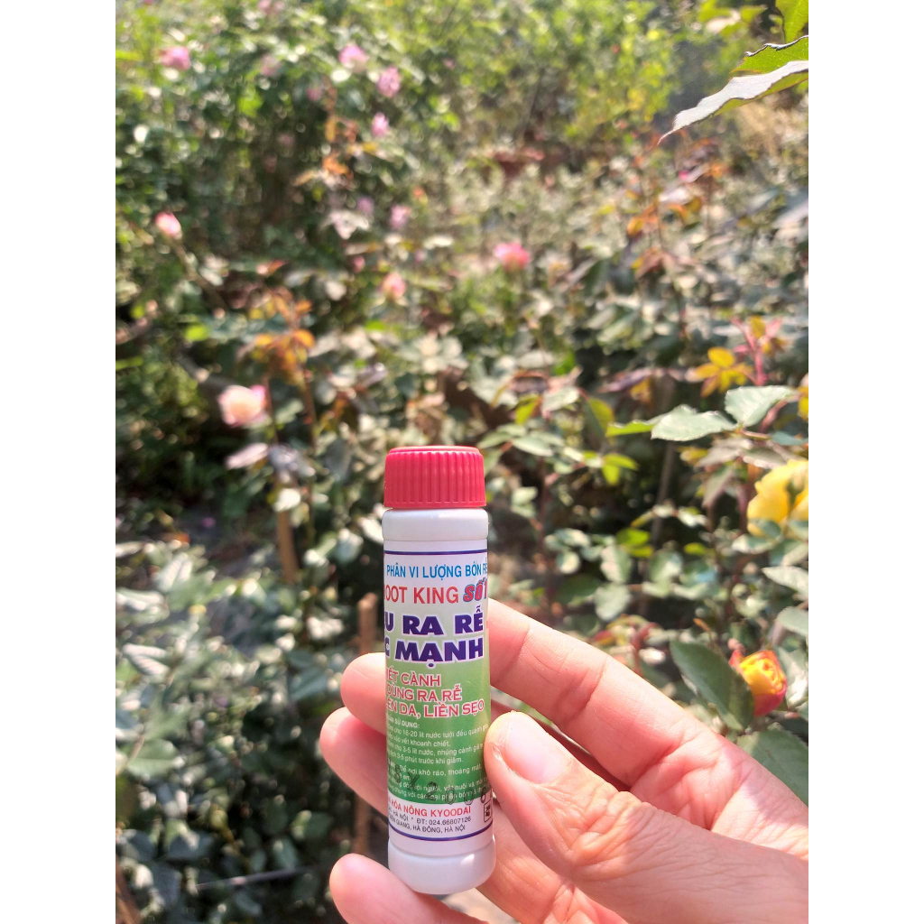 Kích rễ, siêu ra rễ cực mạnh Root king