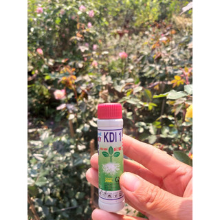 Kích rễ, siêu ra rễ cực mạnh Root king