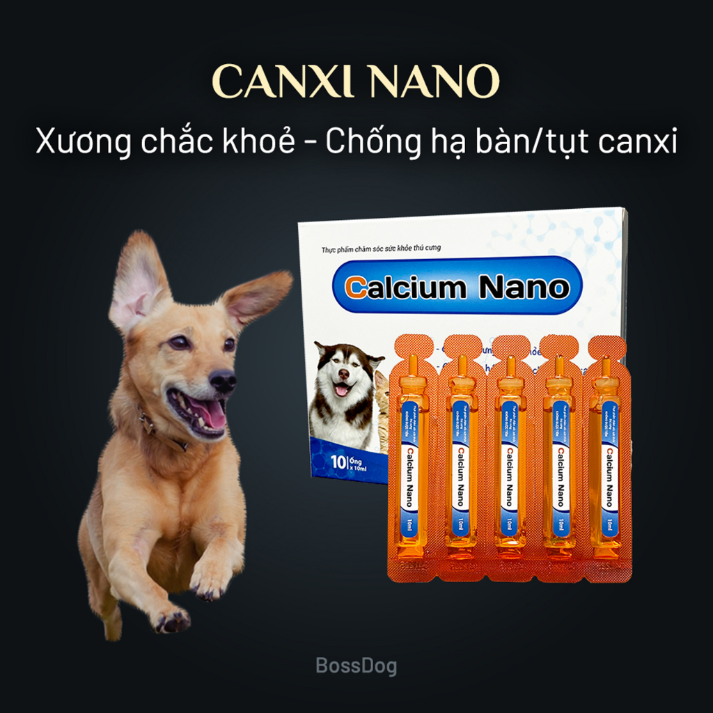 Canxi cho chó mèo Calcium-Nano | Phát triển xương khớp thú cưng | BossDog