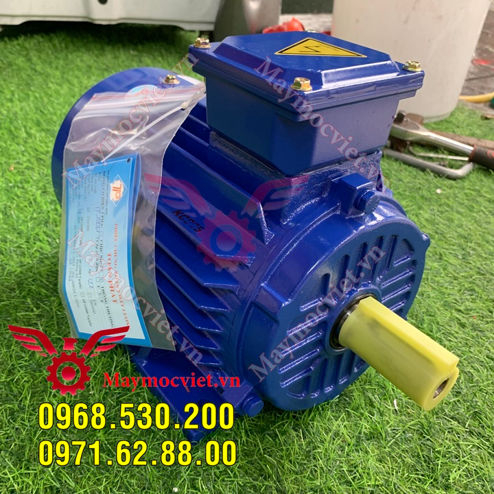 Moto điện toàn phát 3 pha vòng tua chậm 1490v/ phút