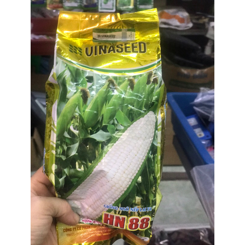 Hạt giống Ngô nếp HN 88 gói 500 gram