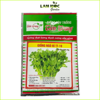 Hạt giống ngò rí - gói 20gr