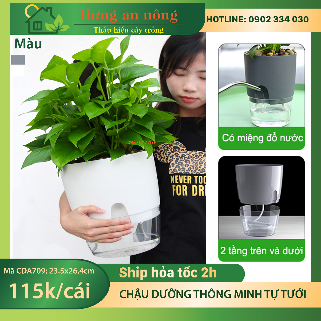 CDA709 - Chậu dưỡng thông minh tự tới lên đến 30 ngày, có thể nuôi cá kiểng bên dưới size kính 23.5cm cao 26.4cm